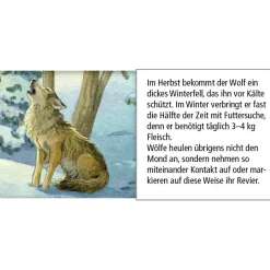 Adventskalender "Tiere Im Winterwald"