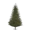 Baum Frasier Fir Grun, 120 Cm