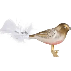 Glasvogel Braun-Silber