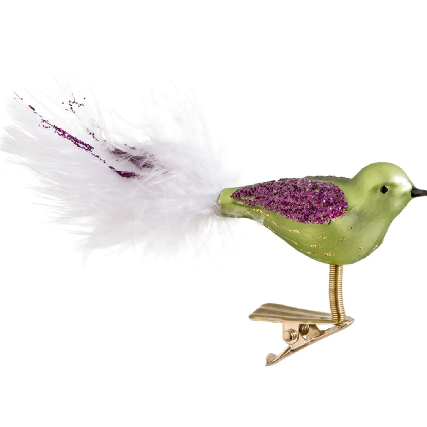 Glasvogel Grun-Lila