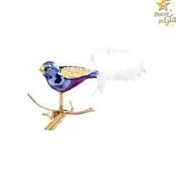 Glasvogel Lila/Gold