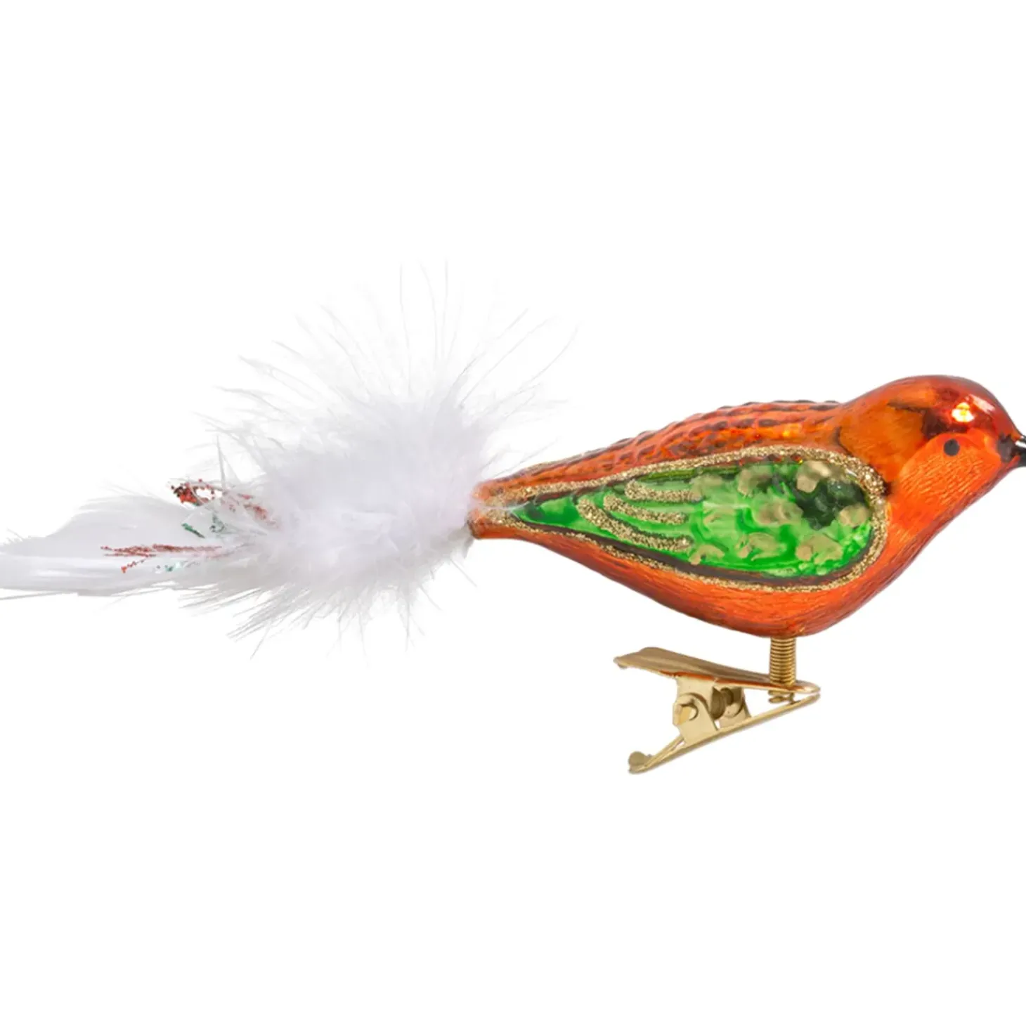 Glasvogel Orange-Grun