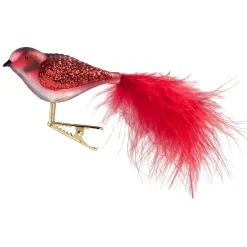 Glasvogel Rot-Weis