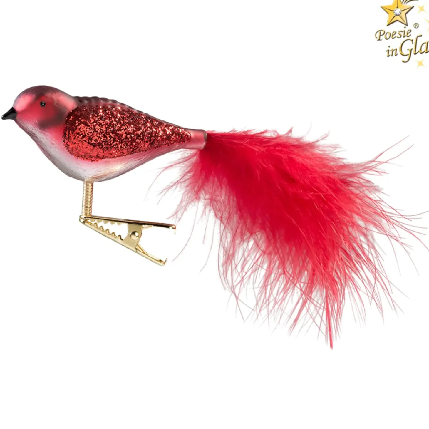 Glasvogel Rot-Weis