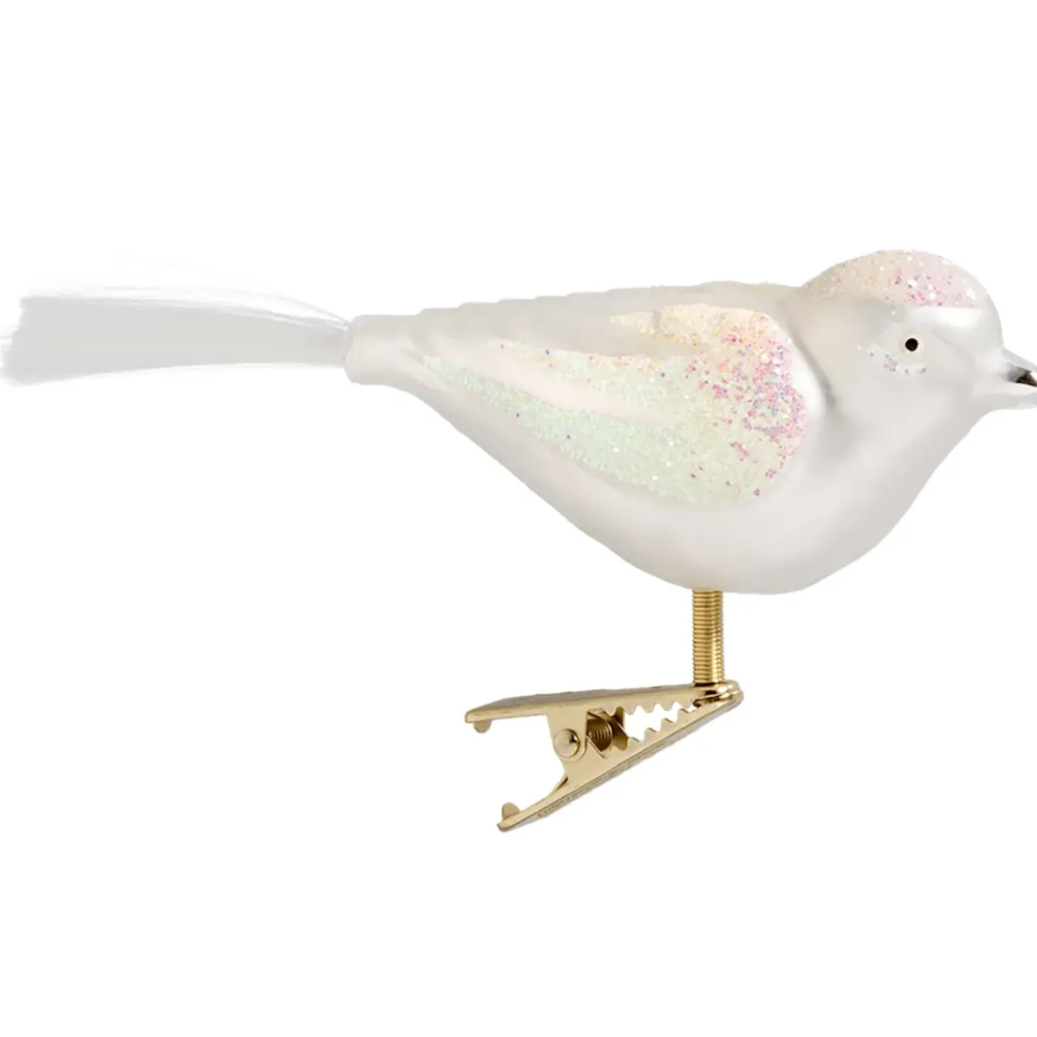 Glasvogel Weis