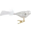 Glasvogel Weis-Silber