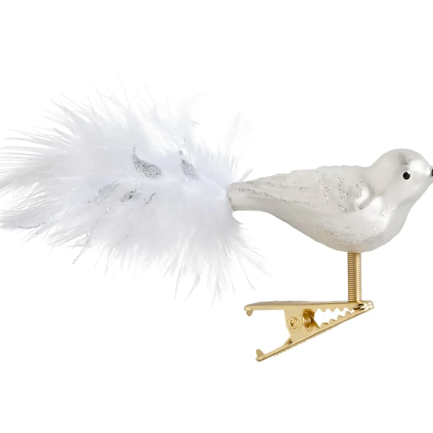 Glasvogel Weis-Silber