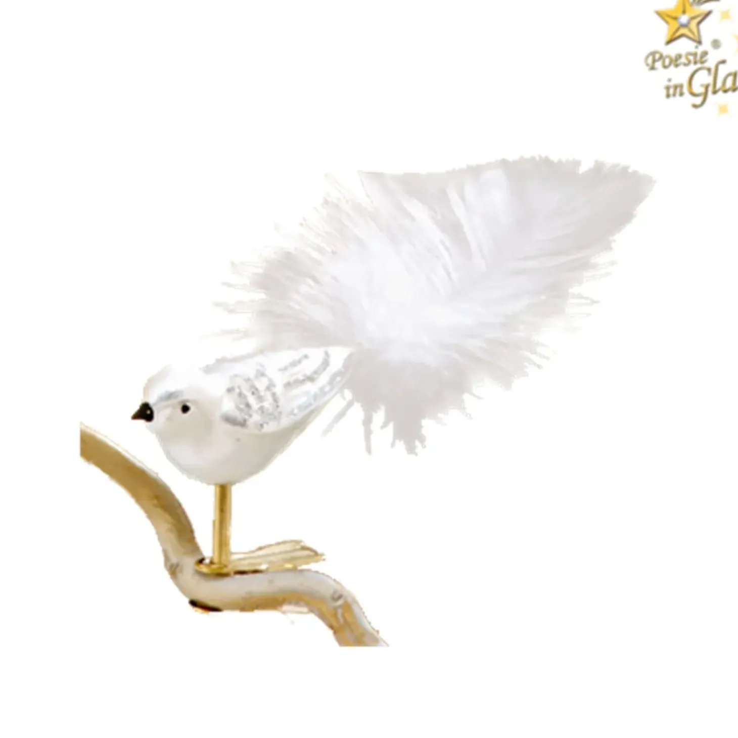 Glasvogel Weis-Silber
