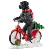 Schnauzer Auf Fahrrad