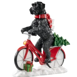 Schnauzer Auf Fahrrad