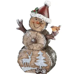 Schneemann Mit Vogelfreund